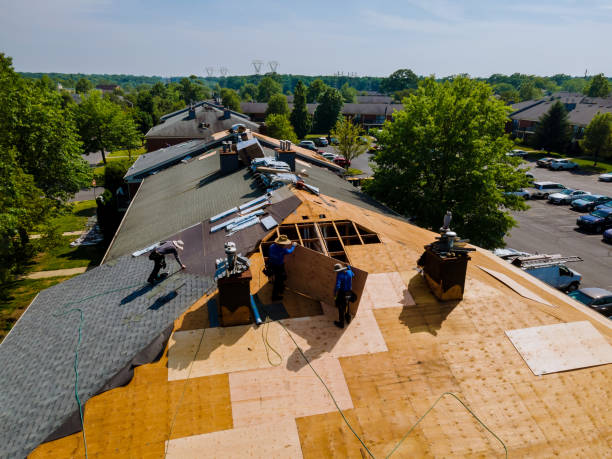 24/7 Emergency Flat Roof Repair experts in Carrollton, AL